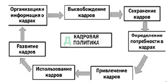 Дипломная работа: Совершенствование кадровой политики и ее планирование на предприятии